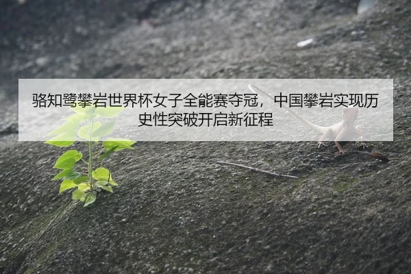骆知鹭攀岩世界杯女子全能赛夺冠，中国攀岩实现历史性突破开启新征程