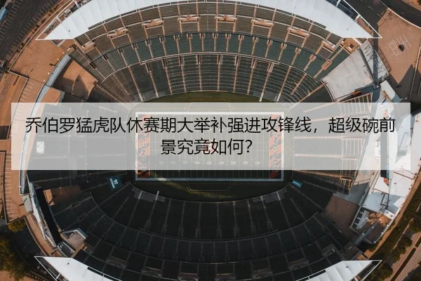 乔伯罗猛虎队休赛期大举补强进攻锋线，超级碗前景究竟如何？